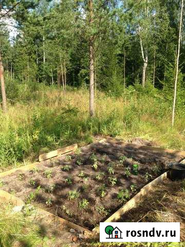 Участок СНТ, ДНП 18 сот. на продажу в Никольском Ленинградской области Никольское - изображение 1