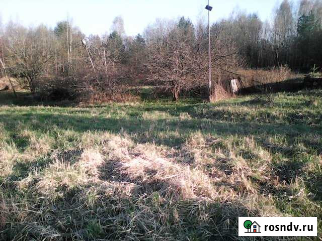 Участок ИЖС 40 сот. на продажу в Усть-Лугах Усть-Луга - изображение 1