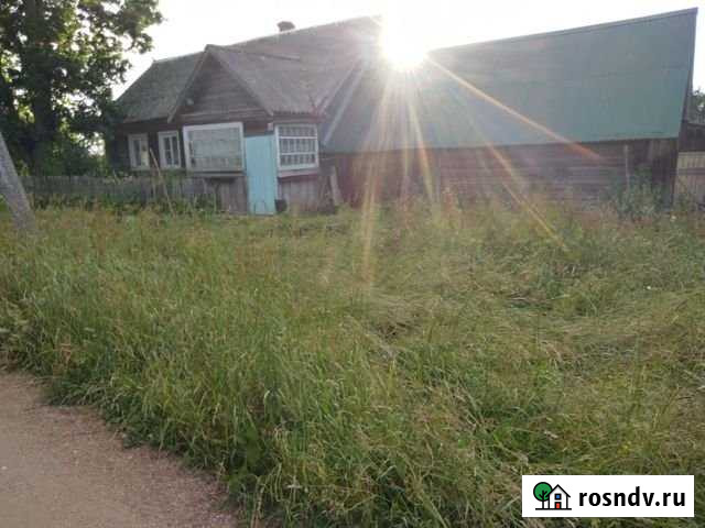 Дом 58 м² на участке 19 сот. на продажу в Стругах Красных Струги Красные - изображение 1