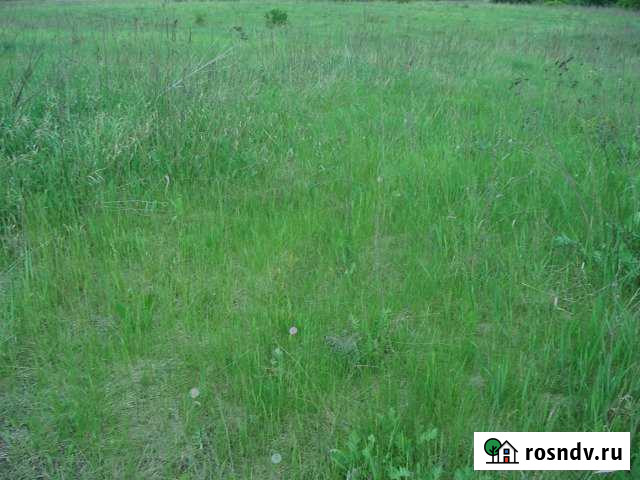 Участок промназначения 60 сот. на продажу в Строителе Белгородской области Строитель - изображение 1