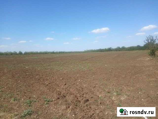 Участок СНТ, ДНП 190 сот. на продажу в Гвардейском Гвардейское - изображение 1