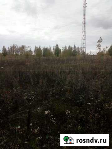 Участок ИЖС 6 сот. на продажу в Моршанске Моршанск - изображение 1