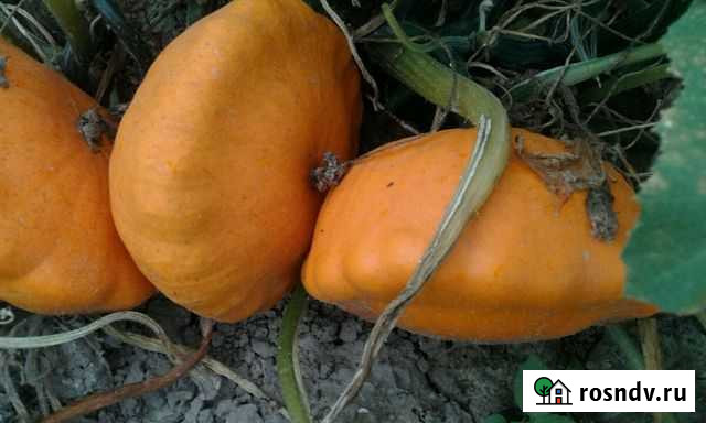 Дом 58 м² на участке 38 сот. на продажу в Шаталово Шаталово - изображение 1