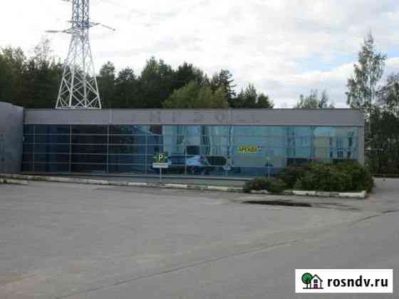 Коммерческое помещение 300 кв.м. на Приморском шоссе Сестрорецк