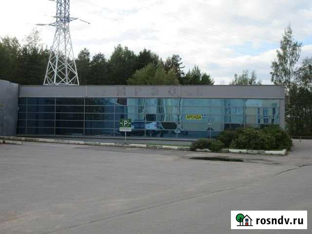 Коммерческое помещение 300 кв.м. на Приморском шоссе Сестрорецк - изображение 1