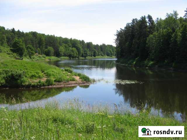 Участок ИЖС 32 сот. на продажу в Волосово Волосово - изображение 1