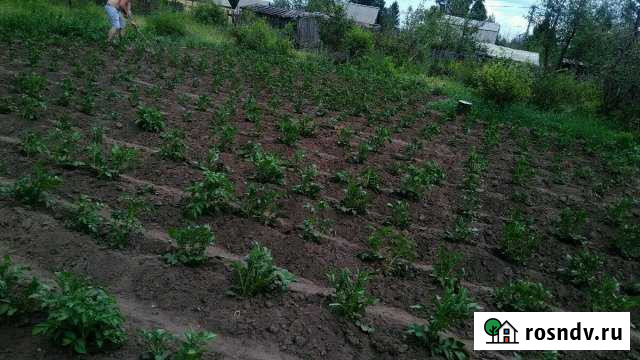 Участок СНТ, ДНП 12 сот. на продажу в Подсинем Подсинее - изображение 1