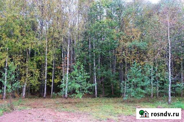 Участок СНТ, ДНП 19 сот. на продажу в Оболенске Оболенск - изображение 1