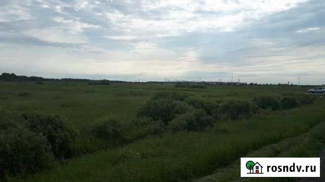 Участок СНТ, ДНП 13720 сот. на продажу в Ялуторовске Ялуторовск - изображение 1