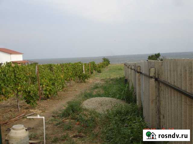 Участок ИЖС 17 сот. на продажу в Сенном Сенной - изображение 1