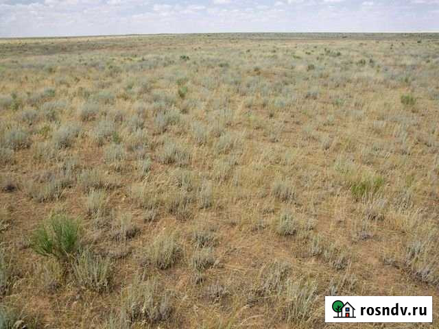 Участок СНТ, ДНП 6 сот. на продажу в Приютном Приютное - изображение 1