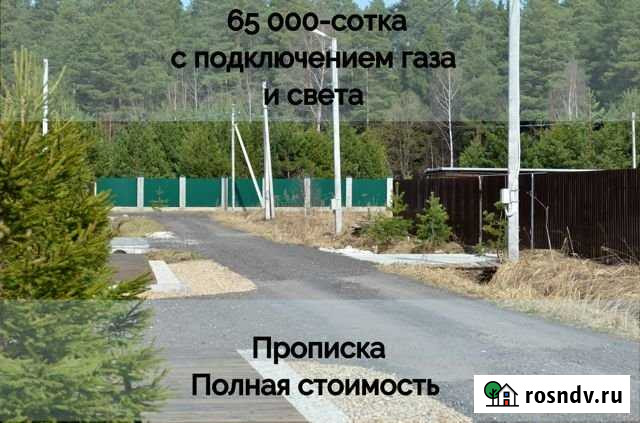 Участок ИЖС 20 сот. на продажу в Речицах Речицы - изображение 1