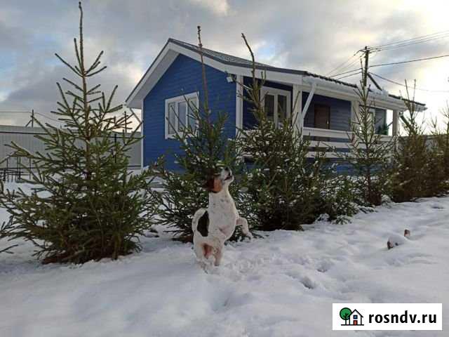 Коттедж 70 м² на участке 20 сот. в аренду посуточно в Гостилицах Гостилицы - изображение 1