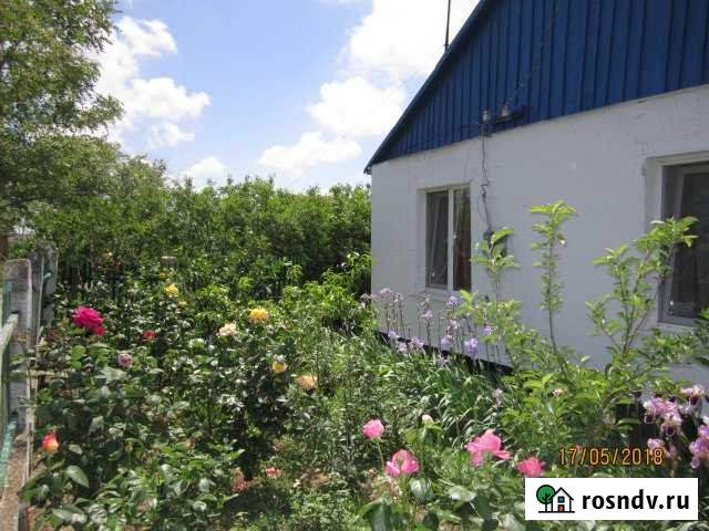 Дом 50 м² на участке 25 сот. на продажу в Приморском Приморский - изображение 1