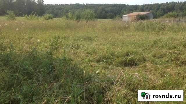 Участок СНТ, ДНП 10 сот. на продажу в Кемерово Кемерово - изображение 1