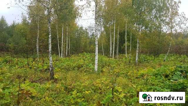 Участок СНТ, ДНП 6 сот. на продажу в Клине Клин - изображение 1