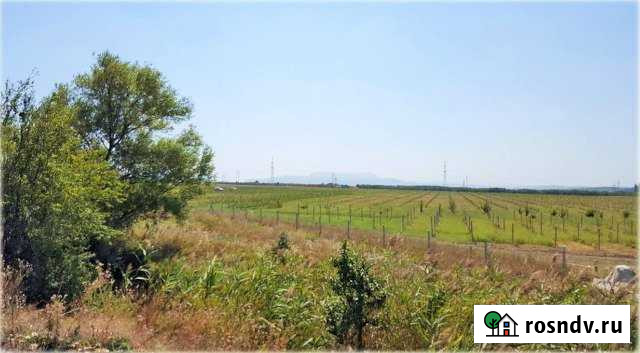 Участок СНТ, ДНП 7000 сот. на продажу в Симферополе Симферополь - изображение 1