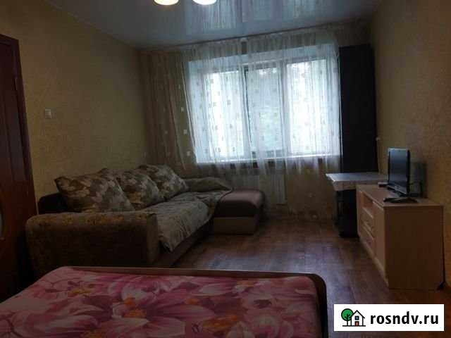 1-комнатная квартира, 35 м², 1/3 эт. в аренду посуточно в Дзержинске Дзержинск - изображение 1