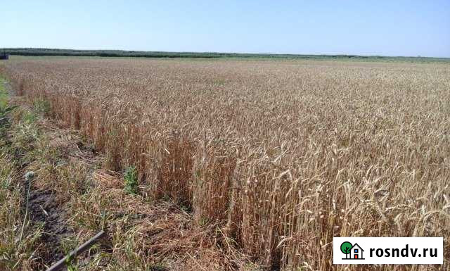 Участок СНТ, ДНП 1467 сот. на продажу в Славянске-на-Кубани Славянск-на-Кубани - изображение 1