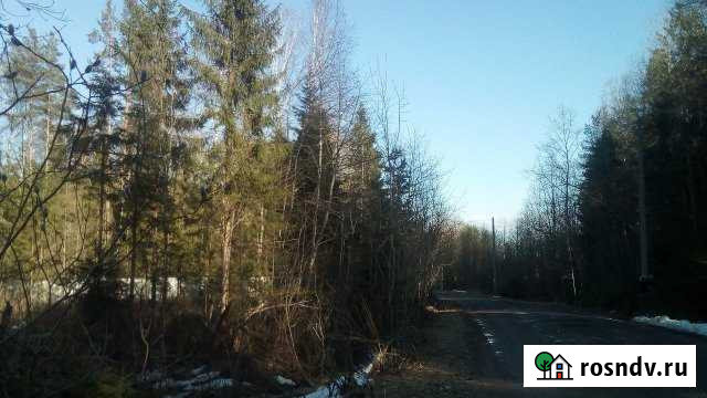 Участок ИЖС 35 сот. на продажу в Пролетарии Пролетарий - изображение 1