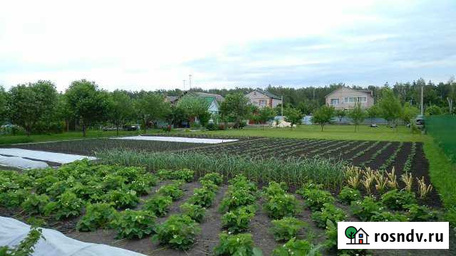 Участок ИЖС 20 сот. на продажу в Грязях Грязи - изображение 1