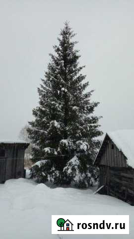 2-комнатная квартира, 50 м², 1/1 эт. на продажу в Козельске Козельск - изображение 1