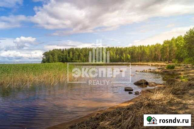 Участок СНТ, ДНП 150 сот. на продажу в Пряже Пряжа - изображение 1