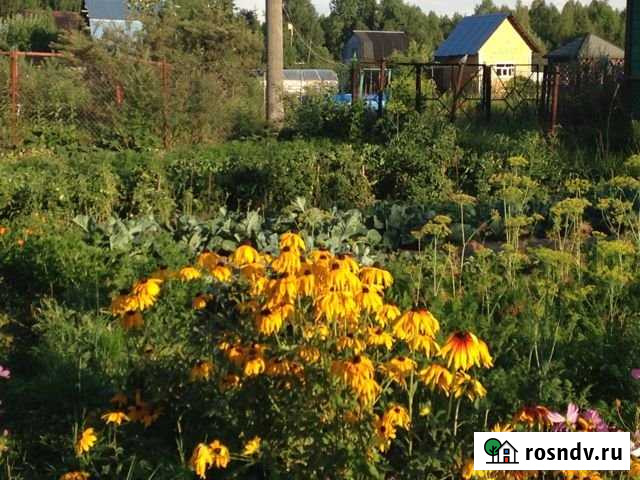 Участок СНТ, ДНП 8 сот. на продажу в Балакирево Балакирево - изображение 1