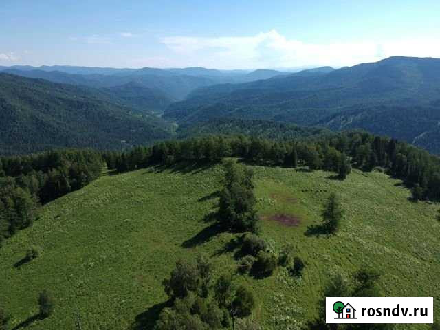 Участок СНТ, ДНП 100 сот. на продажу в Горно-Алтайске Горно-Алтайск - изображение 1