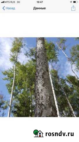 Участок промназначения 38 сот. на продажу в Катайске Катайск - изображение 1