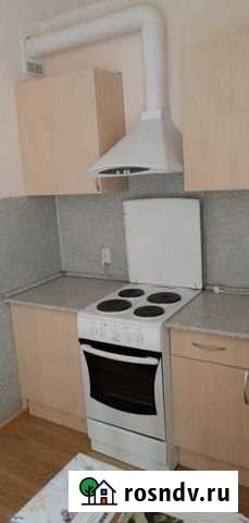 1-комнатная квартира, 30 м², 6/15 эт. в аренду на длительный срок в Мурино Мурино - изображение 1