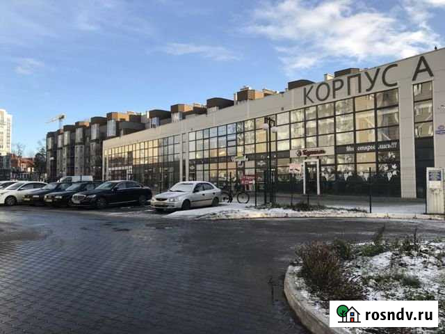 Сдаётся помещение свободного назначения Калининград - изображение 1