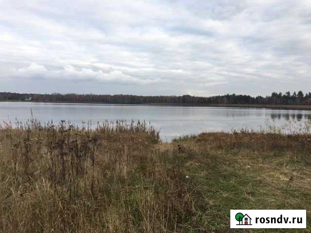 Участок ИЖС 50 сот. на продажу в Туме Тума - изображение 1