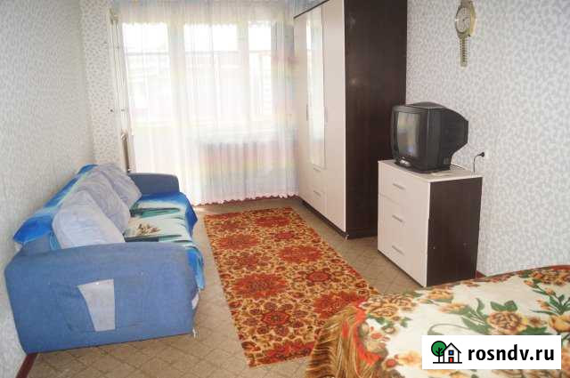 1-комнатная квартира, 40 м², 10/10 эт. в аренду посуточно в Кондопоге Кондопога - изображение 1