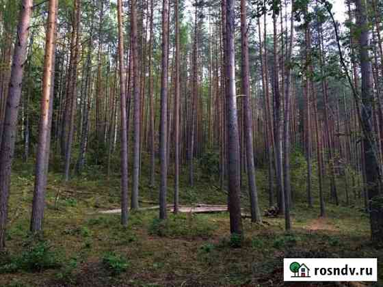 Участок ИЖС 13 сот. на продажу в Шуе Республики Карелия Шуя
