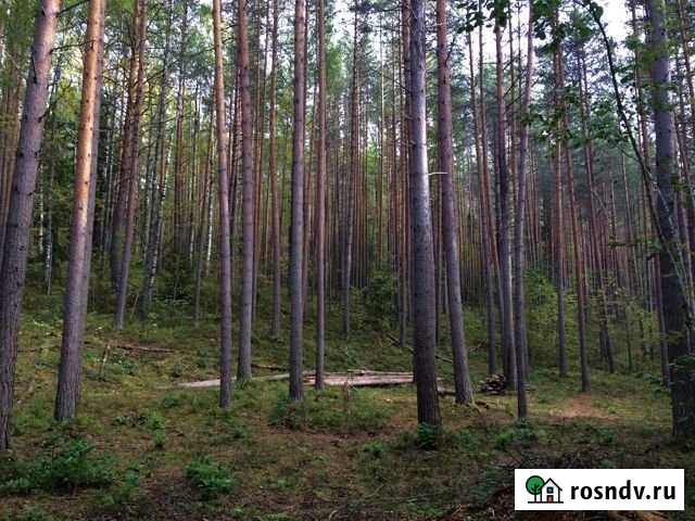 Участок ИЖС 13 сот. на продажу в Шуе Республики Карелия Шуя - изображение 1