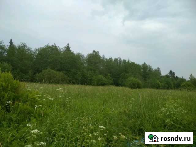 Участок СНТ, ДНП 10 сот. на продажу в Саперном Саперное - изображение 1