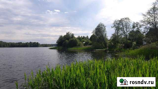 Участок СНТ, ДНП 300 сот. на продажу в Крестцах Крестцы - изображение 1