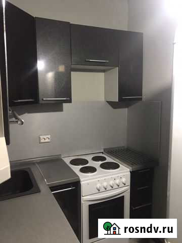 1-комнатная квартира, 30 м², 4/16 эт. в аренду на длительный срок в Никольском Ленинградской области Никольское - изображение 1