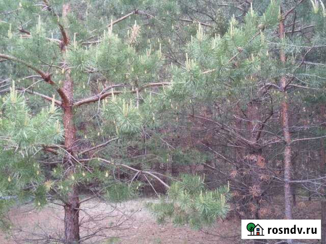 Участок ИЖС 36 сот. на продажу в Спасск-Рязанском Спасск-Рязанский - изображение 1