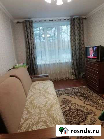 2-комнатная квартира, 46 м², 1/2 эт. на продажу в Стругах Красных Струги Красные - изображение 1