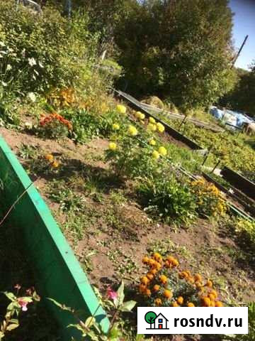 Дача 60 м² на участке 6 сот. на продажу в Елизово Елизово - изображение 1