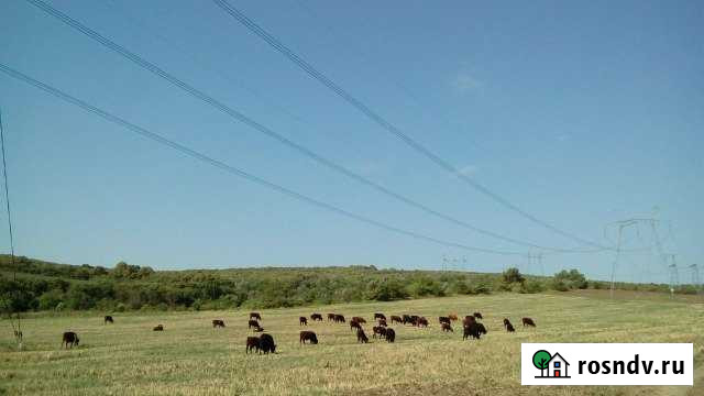 Участок СНТ, ДНП 245 сот. на продажу в Варениковской Варениковская - изображение 1