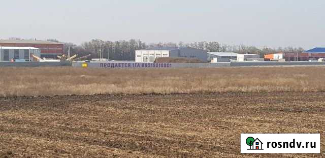 Участок промназначения 100 сот. на продажу в Рассвете Ростовской области Рассвет - изображение 1