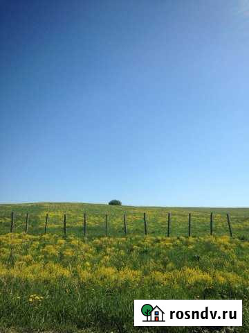 Участок СНТ, ДНП 220 сот. на продажу в Русско-Высоцком Русско-Высоцкое - изображение 1