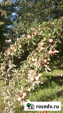 Участок ИЖС 12 сот. на продажу в Воскресенске Воскресенск - изображение 1