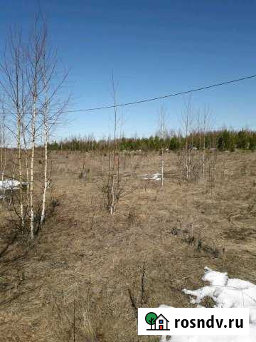 Участок СНТ, ДНП 28 сот. на продажу в Нытве Нытва - изображение 1