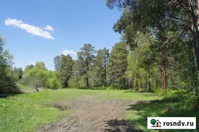 Участок ИЖС 20 сот. на продажу в Турочаке Турочак - изображение 1