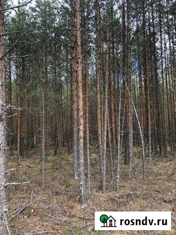 Участок СНТ, ДНП 10 сот. на продажу в Приозерске Приозерск - изображение 1