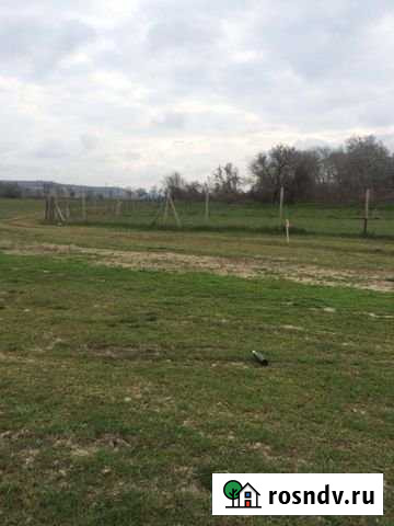 Участок СНТ, ДНП 400 сот. в аренду в Севастополе Севастополь - изображение 1